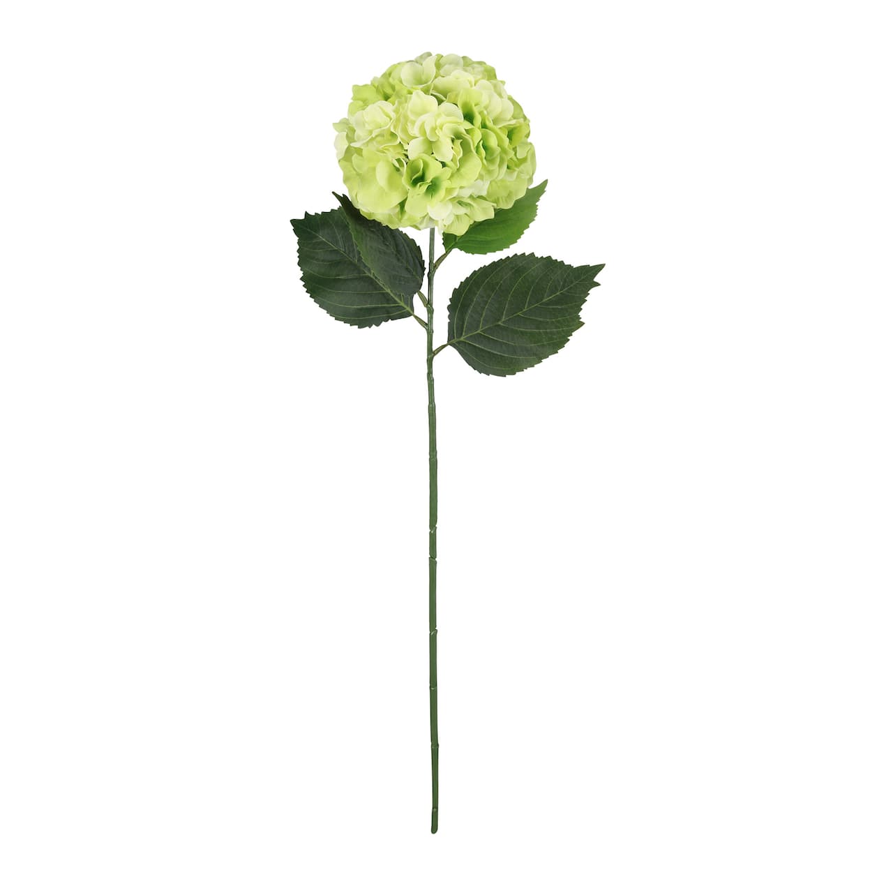 12 Pack: Green Hydrangea Stem by Ashland®